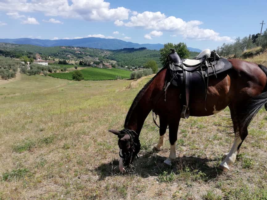 Florence: Horseback Riding Tour with Wine Tasting & Transfer - Returning to the ranch without rushing