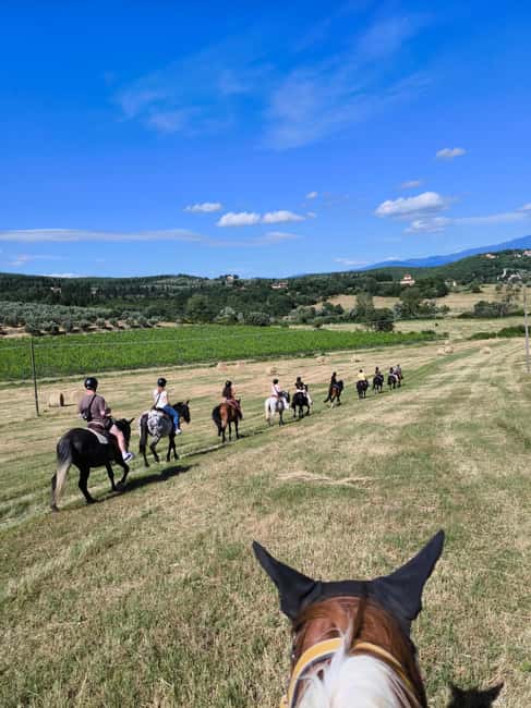 Florence: Horseback Riding Tour with Wine Tasting & Transfer - Meeting your horse and learning the basics