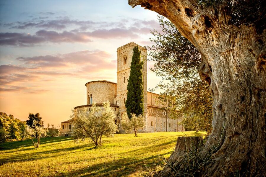 Florence: Monteriggioni & Val d'Orcia Optional Wine Tasting - Montalcino, wine country with time to wander