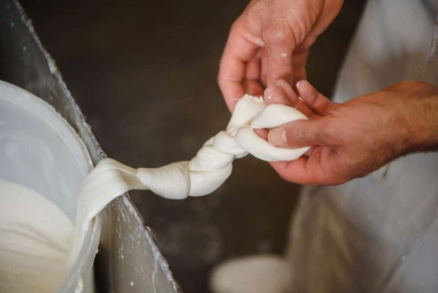 Florence: Mozzarella Making Workshop with Wine Tasting - A Prosecco Welcome at Simbiosi Farm
