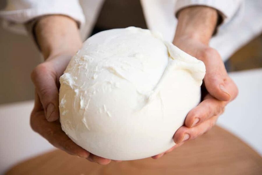 Florence: Mozzarella Making Workshop with Wine Tasting - Burrata and Stracciatella Bring the Creamy Finale
