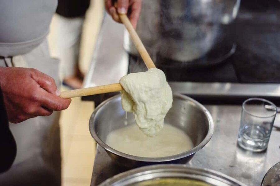 Florence: Mozzarella Making Workshop with Wine Tasting - Who Should Book This Cheese Class