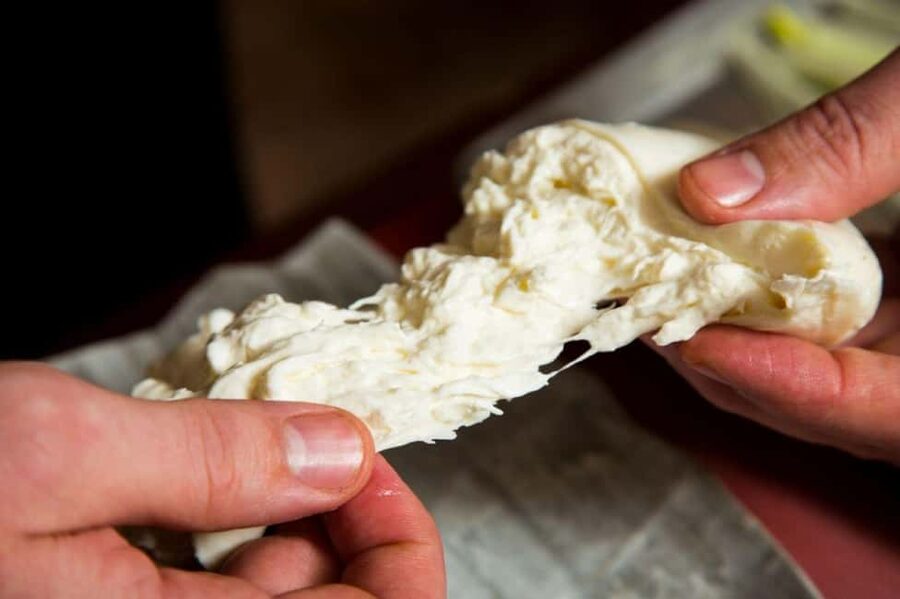Florence: Mozzarella Making Workshop with Wine Tasting - Making Bocconcini, Nodini, and Treccine