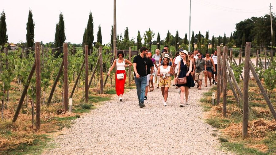 Florence: S. Gimignano, Siena, Chianti Wine Tasting & Lunch - Monteriggioni, the small seasonal finale