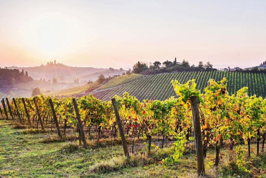 Florence: Siena & San Gimignano Day Trip with Lunch & Wine - Meeting at Piazzale Montelungo