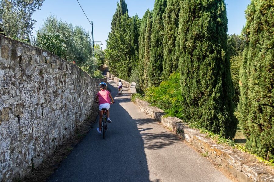 Florence: Tuscany Bike Tour with Wine & Olive Oil - Key points before you book
