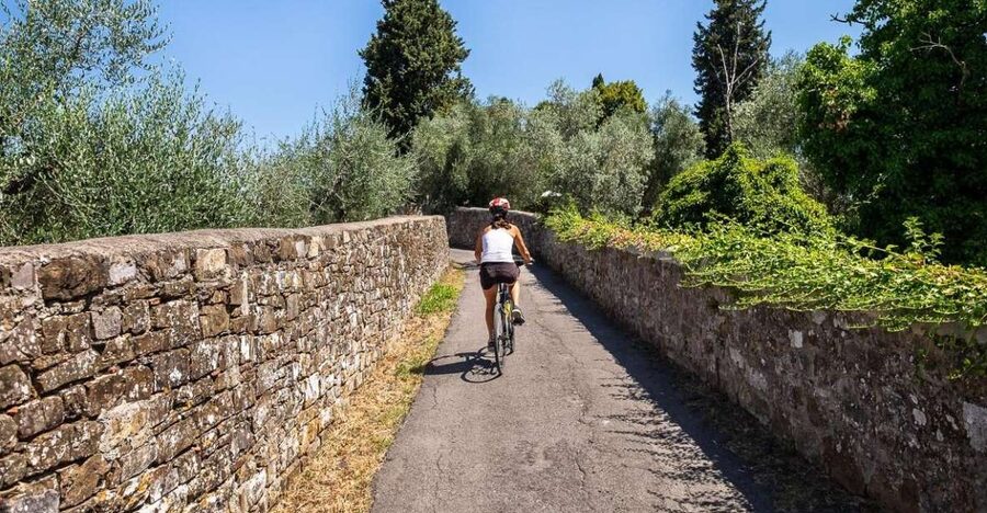 Florence: Tuscany Bike Tour with Wine & Olive Oil - Country lanes, olive groves, and four steady hills