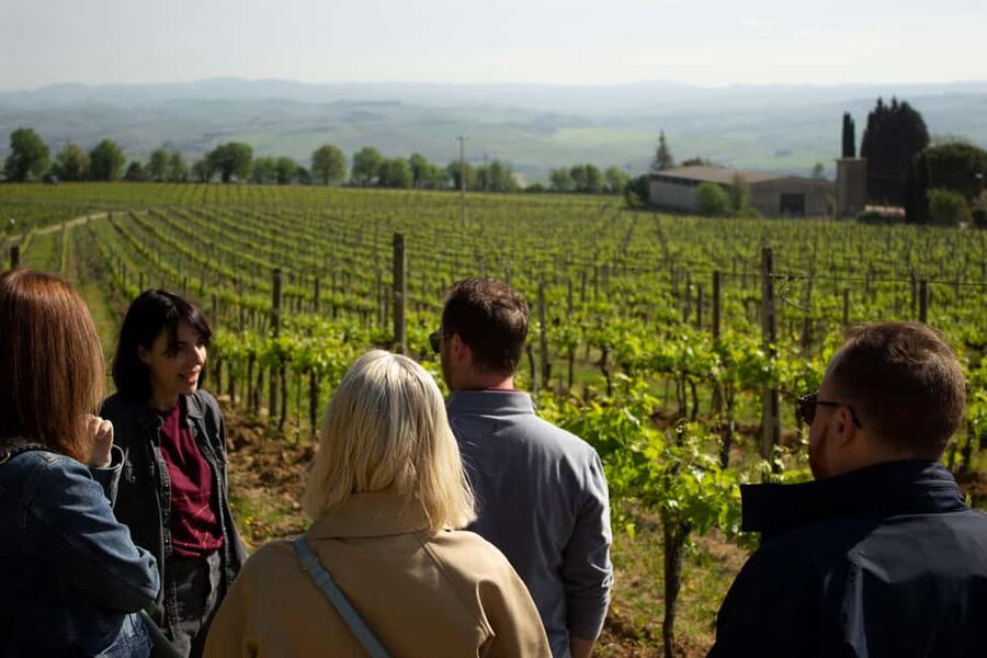 Florence: Valdorcia Wine, Brunello Montalcino, Montepulciano - Pienza, Pecorino, and a three-course lunch