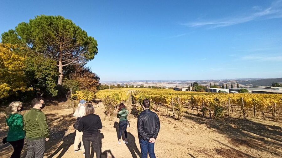 Florence: Valdorcia Wine, Brunello Montalcino, Montepulciano - Montepulciano and the underground city