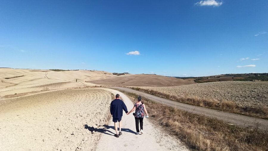 Florence: Valdorcia Wine, Brunello Montalcino, Montepulciano - The driver makes or breaks the day