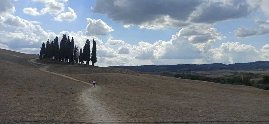 Florence: Valdorcia Wine, Brunello Montalcino, Montepulciano - What the $265 price really covers