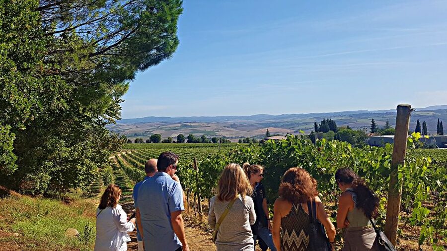 Florence: Valdorcia Wine, Brunello Montalcino, Montepulciano - Should you book this Val d’Orcia tour?