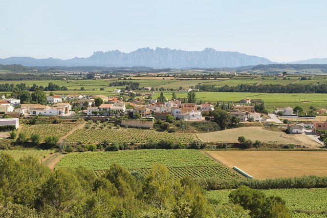 Food and Wine Small Group Tour from Barcelona - Maximum 8 people - The olive farm and its 16th-century mill