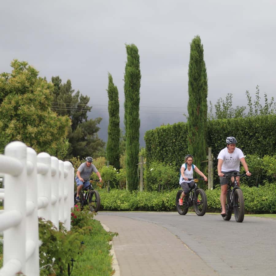 Franschhoek: E-Bike Guided Winery Tour - Meeting at 9 Fabriek Street
