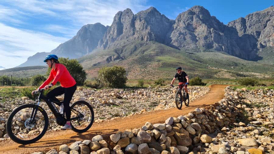Franschhoek: E-bike Tour with Wine Tasting and Lunch - Who should book this ride