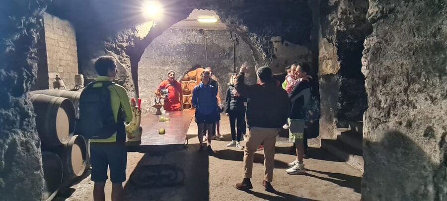Frascati: Tour in E-Bike with Wine Tasting - Climbing toward Monte Tusculum