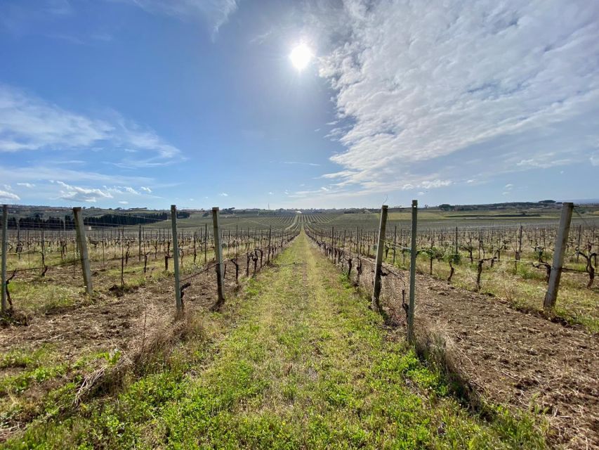 Frascati: Tour in E-Bike with Wine Tasting - The Tuscolo archaeological park