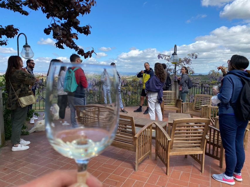 Frascati: Tour in E-Bike with Wine Tasting - What the winery visit is really like