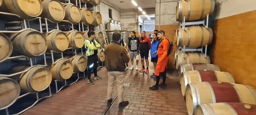 Frascati: Tour in E-Bike with Wine Tasting - The guide can shape the whole experience