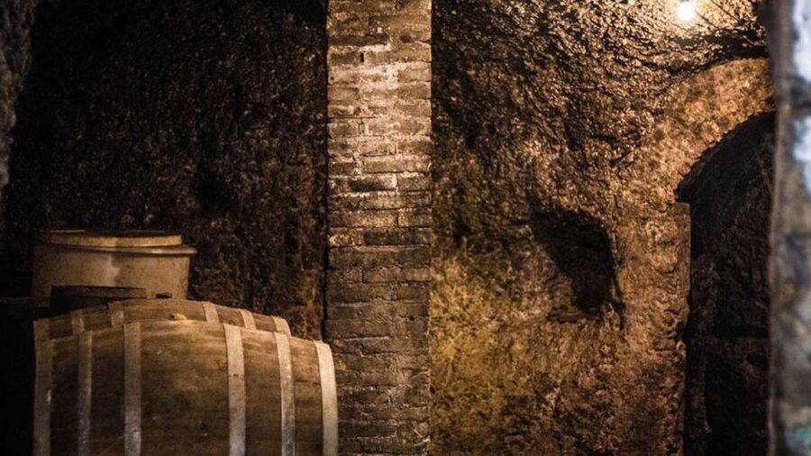 Frascati Wine Road from Rome: Tasting & Lunch - The guides shape the experience