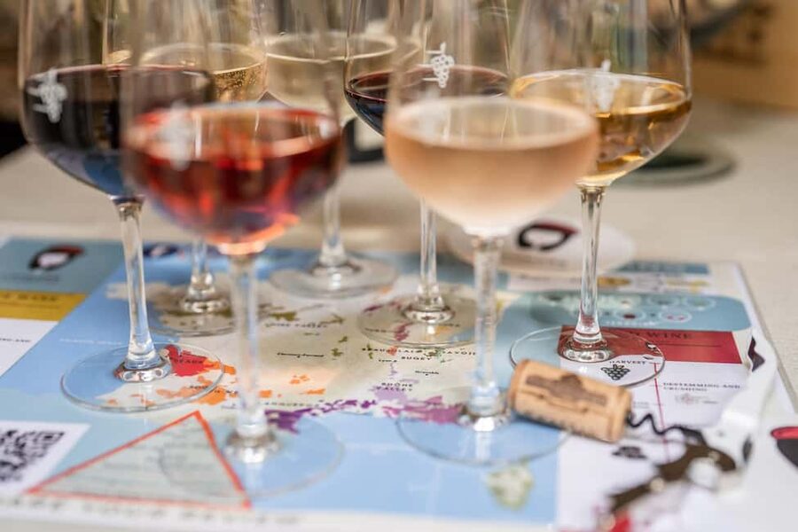 Frecnh Wine Tasting in City Center of Nice - Cheese, snacks, and the value of tasting with food