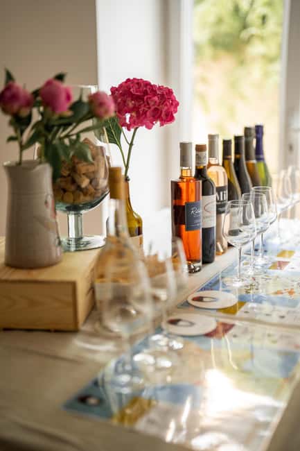 Frecnh Wine Tasting in City Center of Nice - Why the regional comparison works
