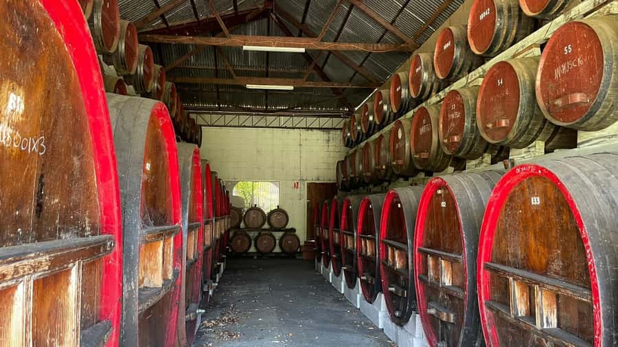 From Adelaide: Barossa to Hahndorf Wine Tasting and Lunch - Best ways to get more from the tour
