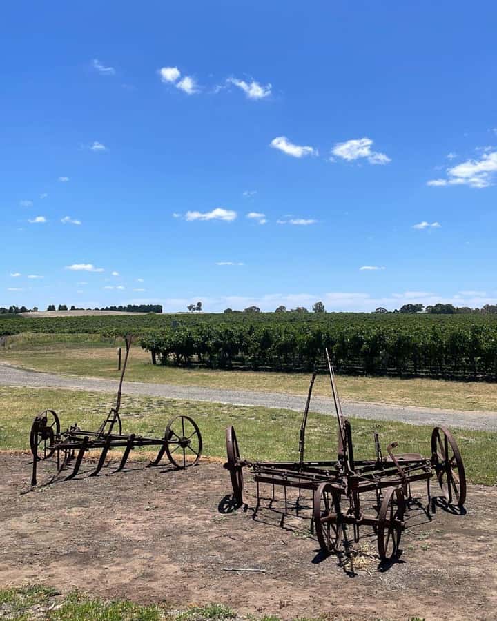 From Adelaide: Barossa to Hahndorf Wine Tasting and Lunch - Hahndorf, the German village at day’s end