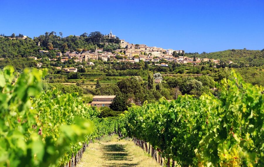 From Aix-en-Provence: Half-Day Wine Tour - The second 30-minute drive