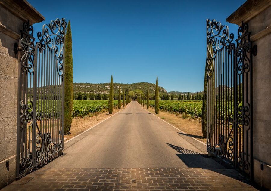 From Aix-en-Provence: Half-Day Wine Tour - Guides who add more than directions