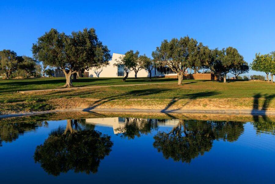 From Albufeira: 4x4 Off-Road Safari & Vineyard Wine Tasting - Tasting several wines with simple local food