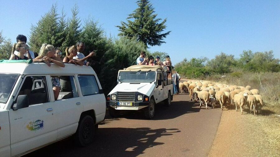 From Albufeira: 4x4 Off-Road Safari & Vineyard Wine Tasting - The 4x4 ride through cork country