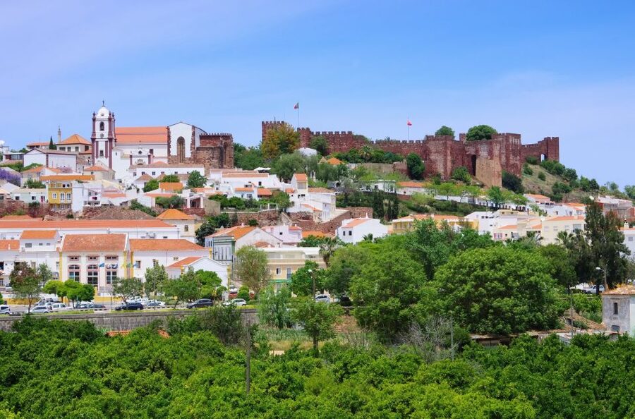 From Albufeira: Wine Tasting & Historic Silves Tour - Booking details worth knowing