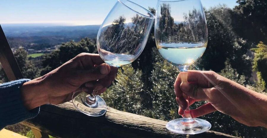 From Albufeira: Wine Tasting & Historic Silves Tour - The family winery and the grape-to-glass story