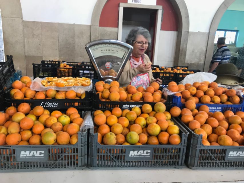 From Albufeira: Wine Tasting & Historic Silves Tour - Guides who shape the experience
