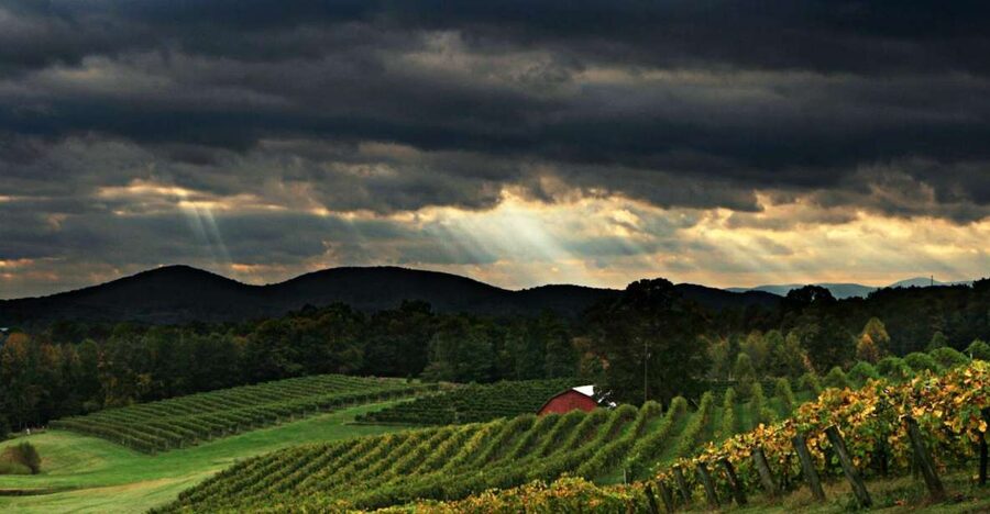 From Atlanta: North Georgia Wine Country Tour - Why This North Georgia Day Trip Works