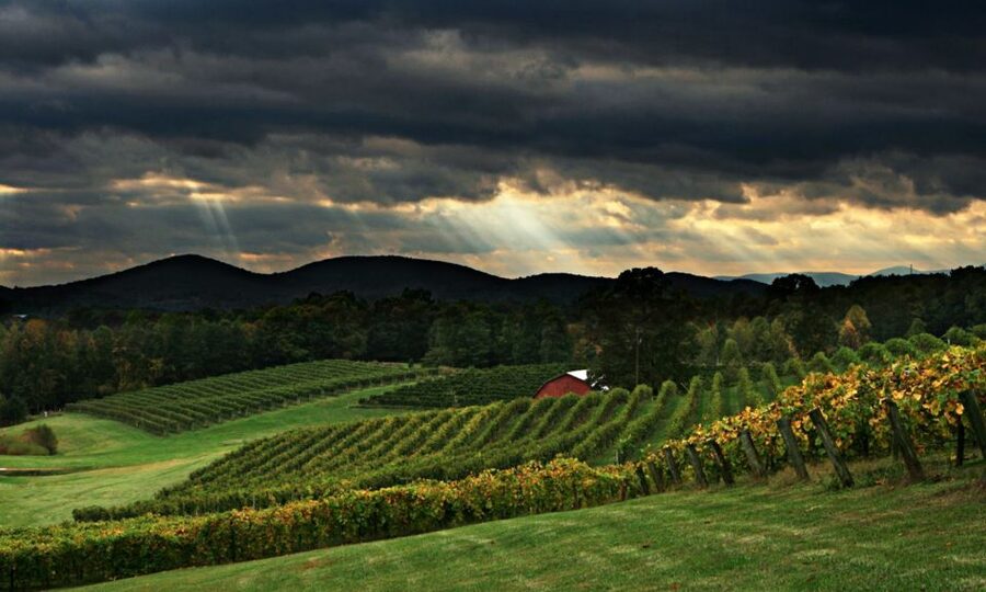From Atlanta: North Georgia Wine Country Tour - Three Winery Stops and Up to 13 Wines