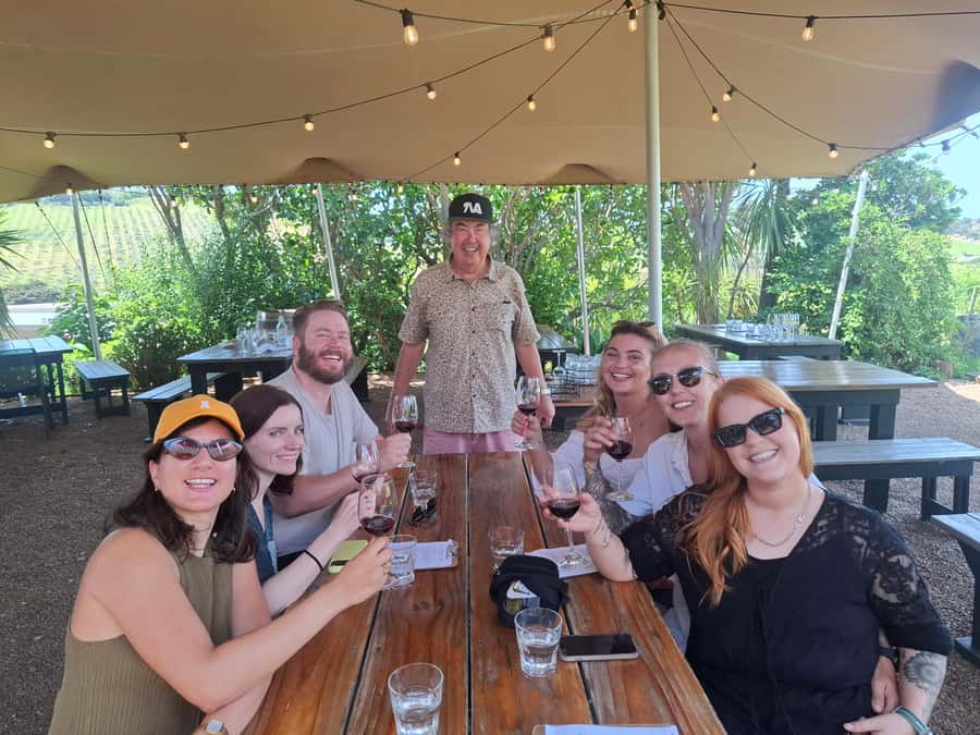 From Auckland: Waiheke Island Wine Cellar Tour - Key points to know before you book