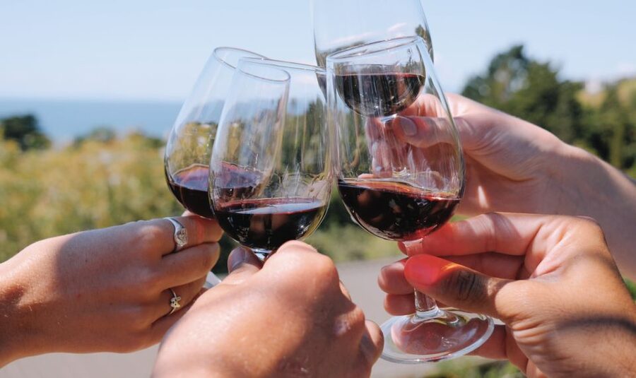 From Auckland: Waiheke Island Wine Cellar Tour - What the tour does not cover