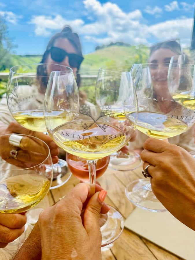 From Auckland: Waiheke Island Wineries' Tour - Auckland to Waiheke by ferry