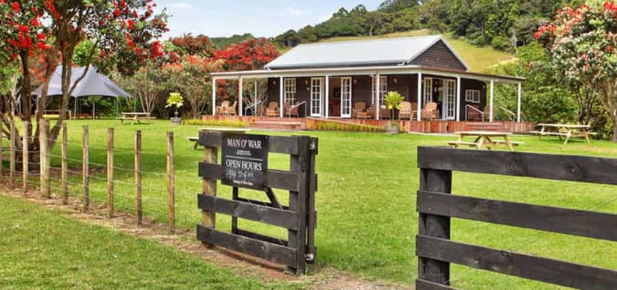 From Auckland: Waiheke Island Wineries' Tour - Timing, comfort, and the small practical details