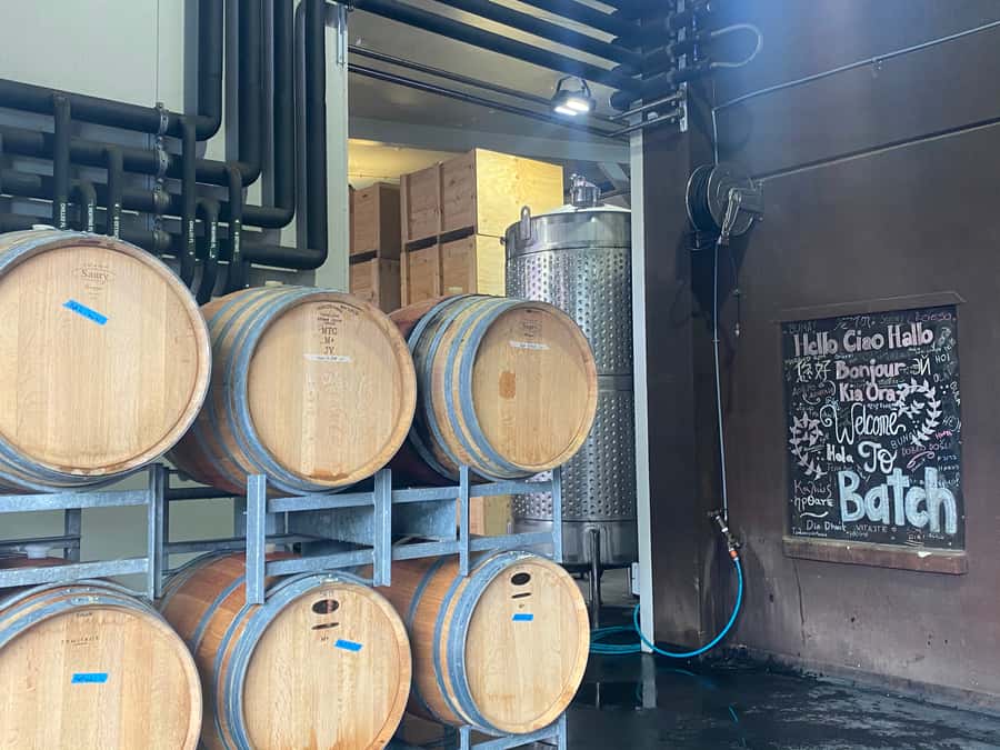 From Auckland: Waiheke Island Wineries' Tour - Should you book the Waiheke wineries tour?