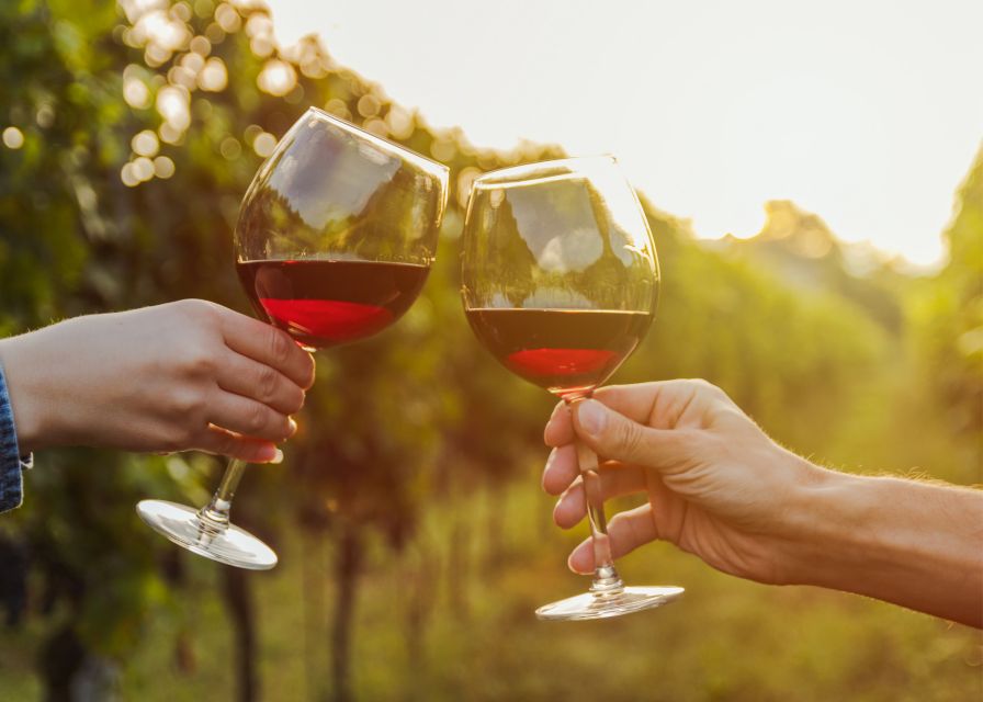 From Austin: Half-Day Hill Country Wine Shuttle - What the $69 price really covers
