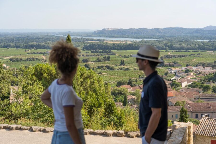 From Avignon: Châteauneuf du Pape Half-Day Wine Tour - Key points at a glance
