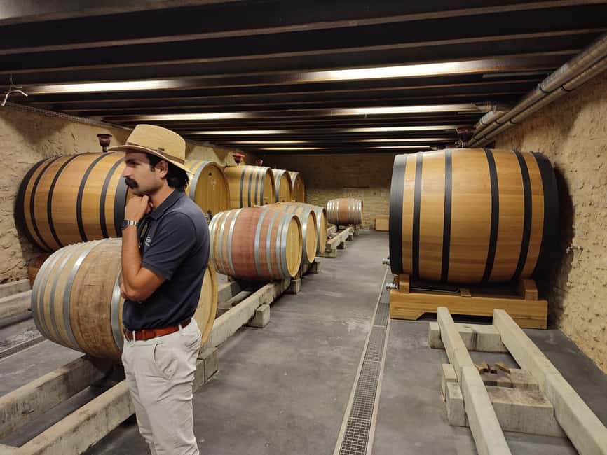 From Avignon: Châteauneuf du Pape Half-Day Wine Tour - Second tasting: a different cellar, a broader picture