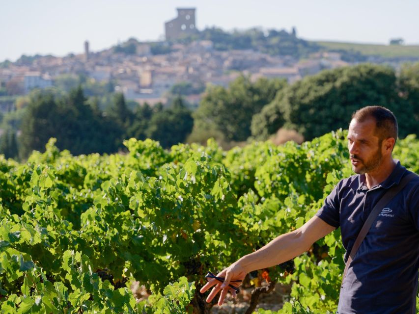 From Avignon: Châteauneuf du Pape Half-Day Wine Tour - Is $112 a fair price?