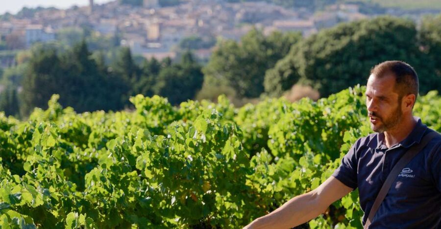 From Avignon: Châteauneuf du Pape Half-Day Wine Tour - First tasting: an introduction to the appellation