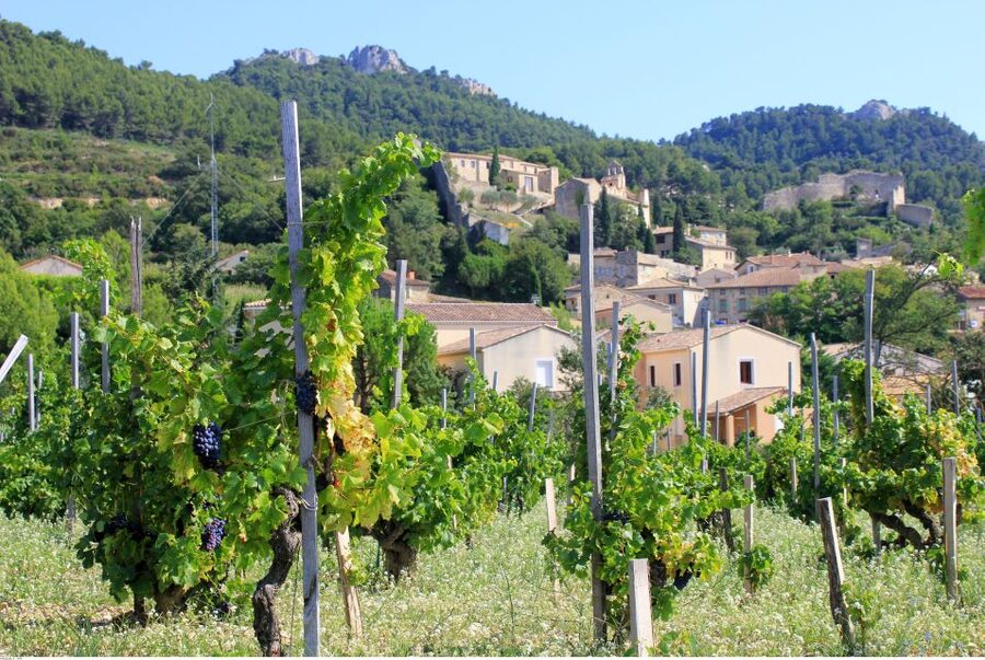 From Avignon: Half-Day Great Vineyards Tour - Châteauneuf-du-Pape brings the grand finale