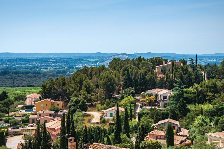 From Avignon: Half-Day Great Vineyards Tour - Who should book this half-day outing?
