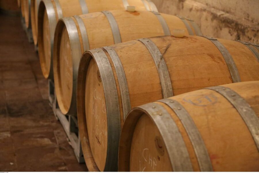 From Avignon: Half-Day Great Vineyards Tour - Practical planning for your five hours